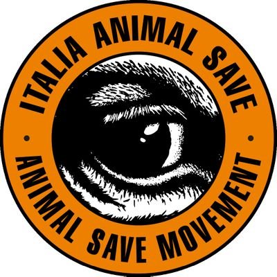 animalsaveita Profile Picture