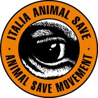 Italia Animal Save(@animalsaveita) 's Twitter Profile Photo
