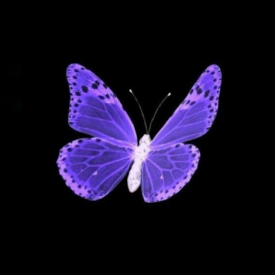 YunoPark95's profile picture. 