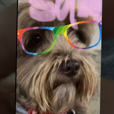 Jessica47762911's profile picture. 