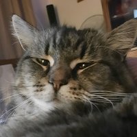 Clair Helm (@helmclair) 's Twitter Profile Photo