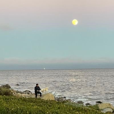 MGrettl's profile picture. 🇺🇸