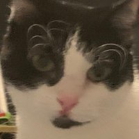 LDG|Sparkz2345 (@sparkz23451) 's Twitter Profile
