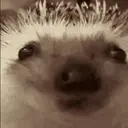 4custm's profile picture. 7