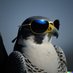 tautologer (@tautologer) Twitter profile photo tautologer (@tautologer) Twitter profile photo