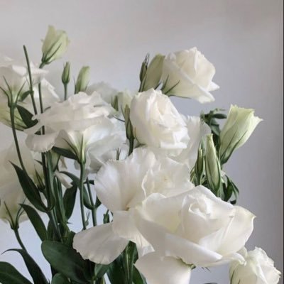 iAmalSaeed's profile picture. ولي أملٌ بالله تحيا به المُنى