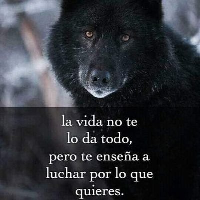 #MenteMillonaria
#NAT&CHANIDA.PURANAPUTRA.CHAIRMAN.BYSYNE.
https://t.co/KXnOv7LJlK ¿Has visto esta aplicación gratuita? ¡Te paga por and