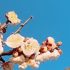 故障さんのプロフィール画像