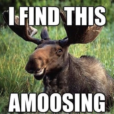 disdainty's profile picture. Fueled by cynicism and love for my children