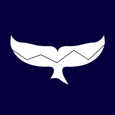 Leviathan_FM's profile picture. 