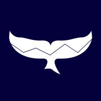 Leviathan Analytics(@Leviathan_FM) 's Twitter Profile Photo
