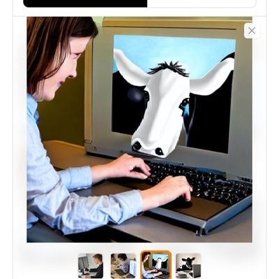 FANFUN59680056's profile picture. Making sure the company is well-rested and ready to conquer the world.