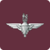 TheParachuteRegRBLX (@rblxparareg) Twitter profile photo TheParachuteRegRBLX (@rblxparareg) Twitter profile photo