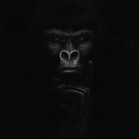 ÙÑČŁË BŁVČK ČÒFFÊË ♟️🦅 (@desoji_yl) 's Twitter Profile