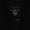 DESOJI_YL's profile picture. Life is short 💥