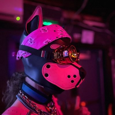 Little pup/furry from Denver! looking to find other like minded people. LGBTQIA 🐶 18+ .26. NSFW Omega. insta- _SCVMP_