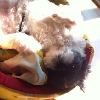 Na_Hjyaaa's profile picture. 24  /  일하는 잉여 굳