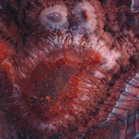 Texture Papi (@erickerr_eth) 's Twitter Profile