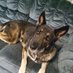 Kevin Green (@kevingr12782462) Twitter profile photo Kevin Green (@kevingr12782462) Twitter profile photo