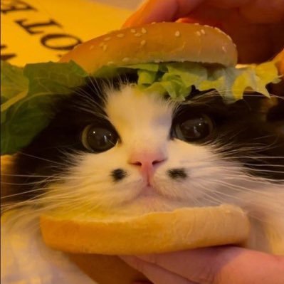 BrebeyaKo's profile picture. c'est une brebè par une brebis