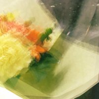 ℛ𝒾𝓃 (@_rin0808) 's Twitter Profile Photo