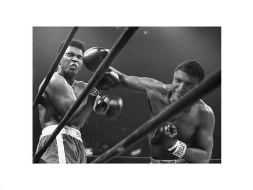 ilsamoano's profile picture. “Non c’è niente di permanente in questo mondo malvagio neppure i nostri dispiaceri.” Charles Chaplin