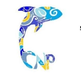 Pàgina oficial del Club Natació Piera. Divulgant valors i esport des del 2012. Ens podeu trobar a: - Instagram: @cnpiera - Facebook: @Clubnataciópiera