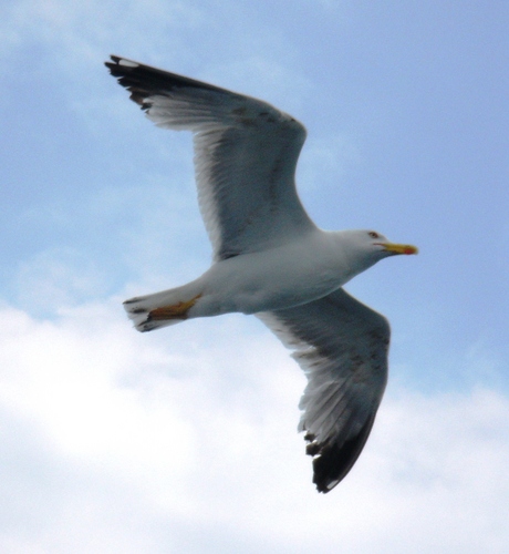 jkarats's profile picture. 