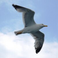 John Karatsalos (@jkarats) 's Twitter Profile