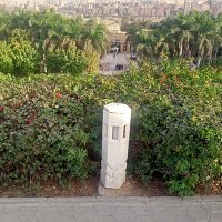 Taha Maaroof (@maarooftaha) 's Twitter Profile