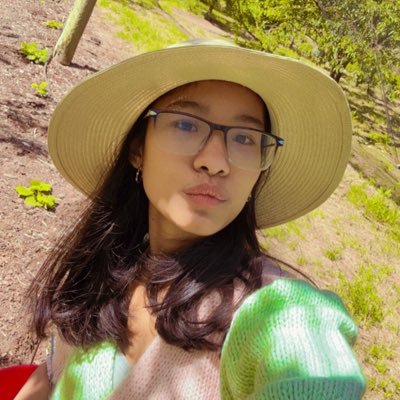 Smritinewa's profile picture. A learner, an explorer