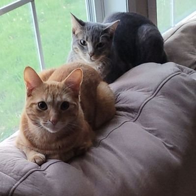 Vanessac2007's profile picture. 