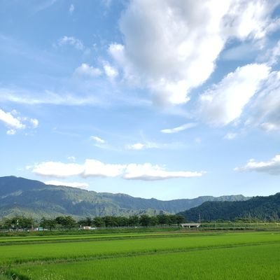 nagi_nangyo's profile picture. 雪国に住んでます❄
#HSP