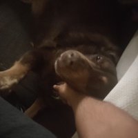Dan DDD (@strider_dan) 's Twitter Profile