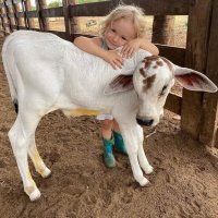 malitikaone (@malitikaone) 's Twitter Profile