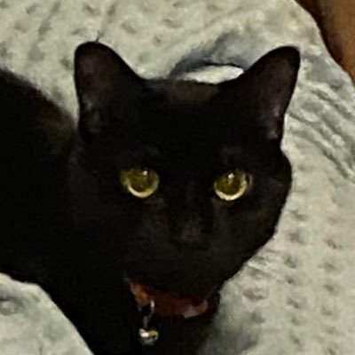 IKMidsummer's profile picture. 30 • mother • wife • leo ♌️ • writer • artist