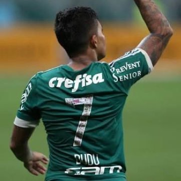 Falo do Palmeiras 99% do tempo