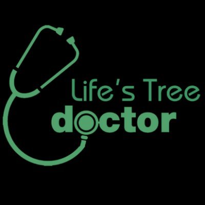 Metro Atlanta's go-to for all things tree-related. From emergency removals to routine pruning, we've got you covered!
