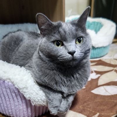 lPPlHfrOY9nZxVw's profile picture. 