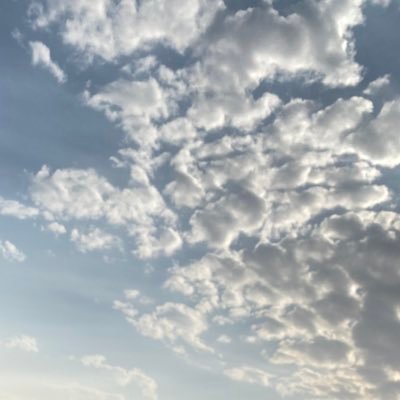 nasnas616's profile picture. 