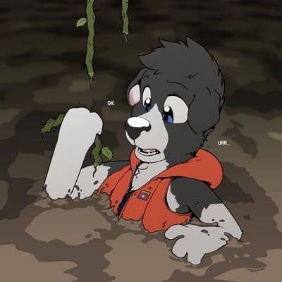 BazzCollie™さんのプロフィール画像