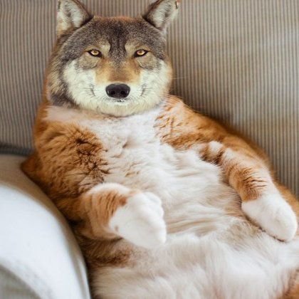 LevErMik's profile picture. 