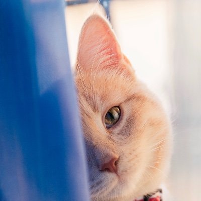 VeeBenson123's profile picture. 