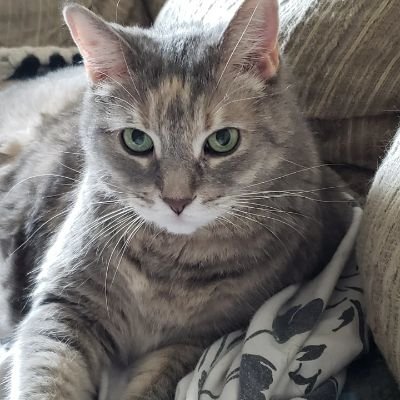 23PoisonIvy's profile picture. 