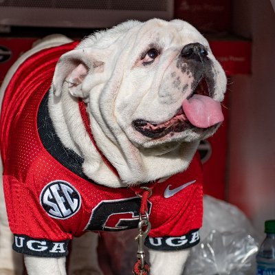 The Home of the DawgVent, the largest and oldest Georgia Bulldogs online community. This is where the news breaks.