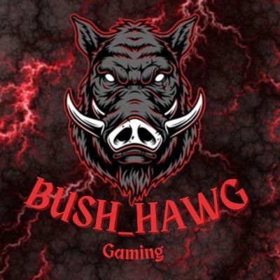 48 I Full Time Driver/Part time streamer I FPS Gamer l Business inquiries - bushhawggaming@gmail.com I https://t.co/Z22zn1TxDS