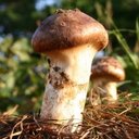 YUNA JO - @YUNAJO64911253 - Twitter