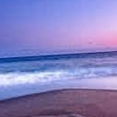 denisdaduck's profile picture. 