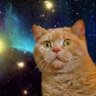 sayoko__2's profile picture.