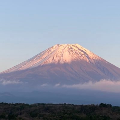 専用 【回送屋 様】 ☆通販サイト通販☆ - astratv.gr